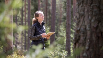 Kvinna i skogen om skogsskötselåtgärder