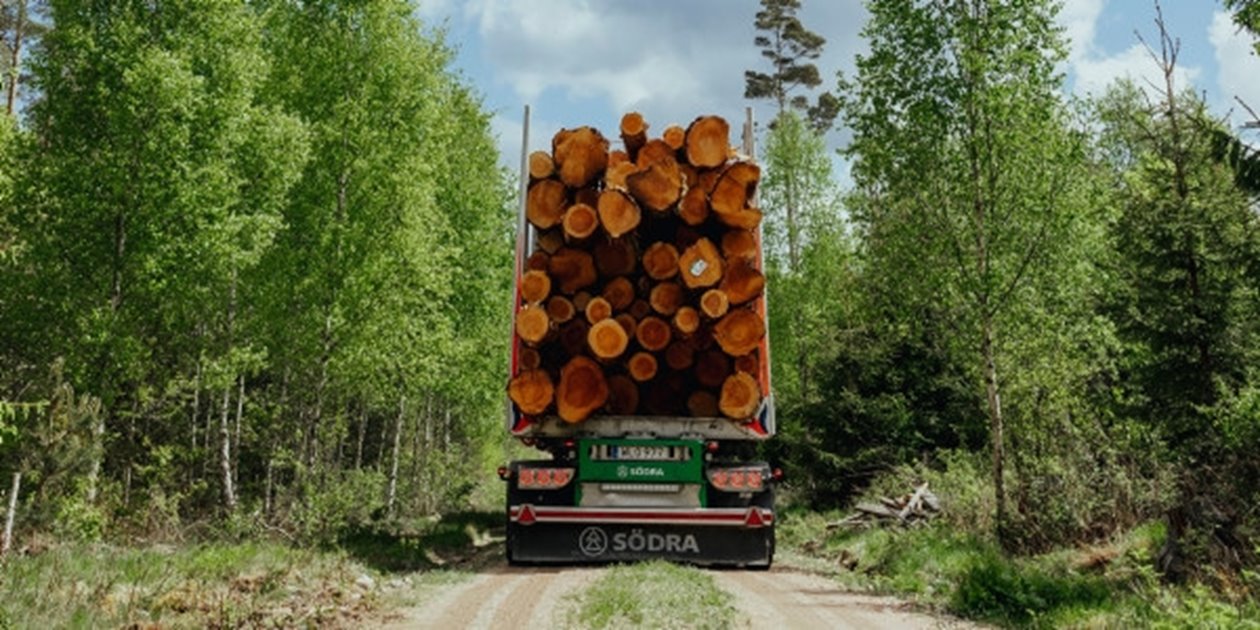 Stämmoexkursion på Toftaholm 25 maj 2022