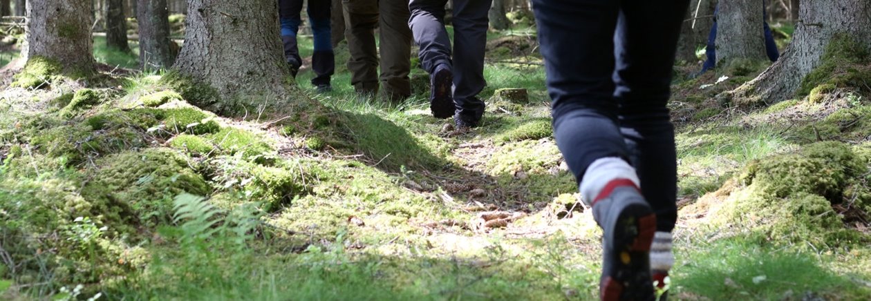 Skogsägare på exkursion i granskog. Skogsdag.