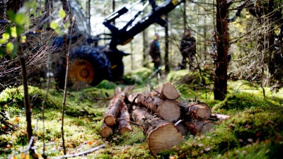 Södra Skogsdag i Sännås, hos Mats och Agneta Helge, mellan Smålandsstenar och Gislaved.