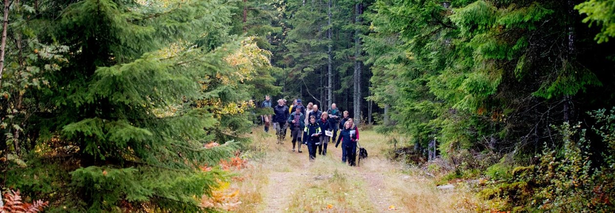 Hovrätten och Skogsstyrelsen och markägare på syn angående föreläggande om försiktighetsmått vid avverkning av skog på fastiheten Hampedal 1:2 nära Töllsjö i Bollebygds kommun.