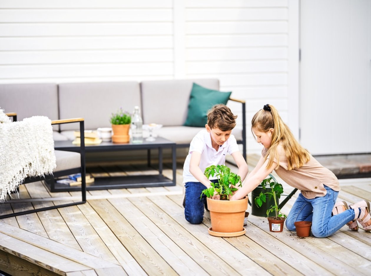 Barn planterar tomatplanta i kruka på trallgolv altan i bakgrunden vitmålad ytterpanel CMP

Children planting a tomato plant in a pot on a wooden deck with white, pre-painted cladding in the background CMP