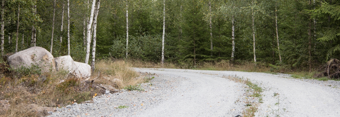 Skogsbilväg hos Södramedlemmen Tommy Flemmingsson, Långasjö verksamhetsområde.