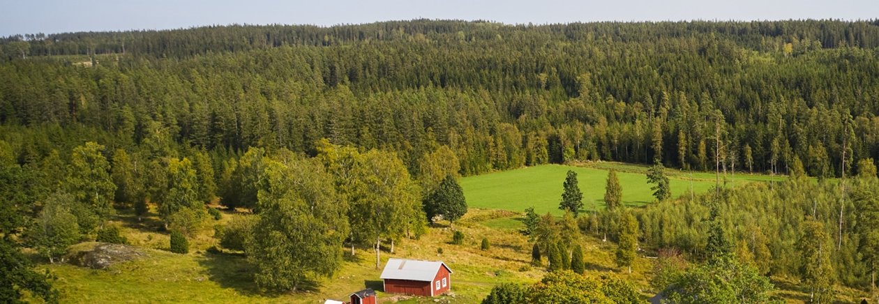 Skogsinspektor medlem 2020.