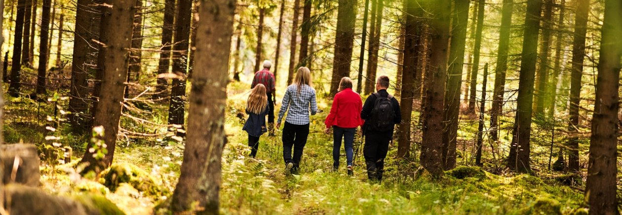 Skogsinspektor medlem 2020.
Från vänster Ava Houlihan-Burne (statist), skogsinspektor Åsa Andersson, Katarina Carlsson, Joakim Carlsson, längst fram Ingemar Levinsson.