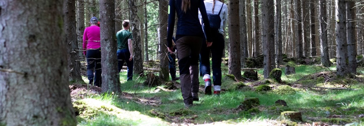 Skogsägare; skogsdag; Södraskolan; utbildning