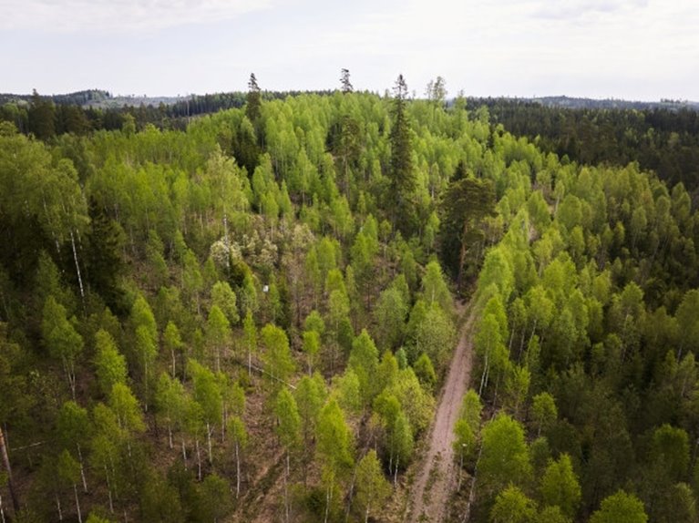 Sännås Höjden Smålandsstenar