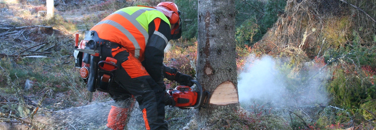 Manuell avverkning. Leveransvirke.