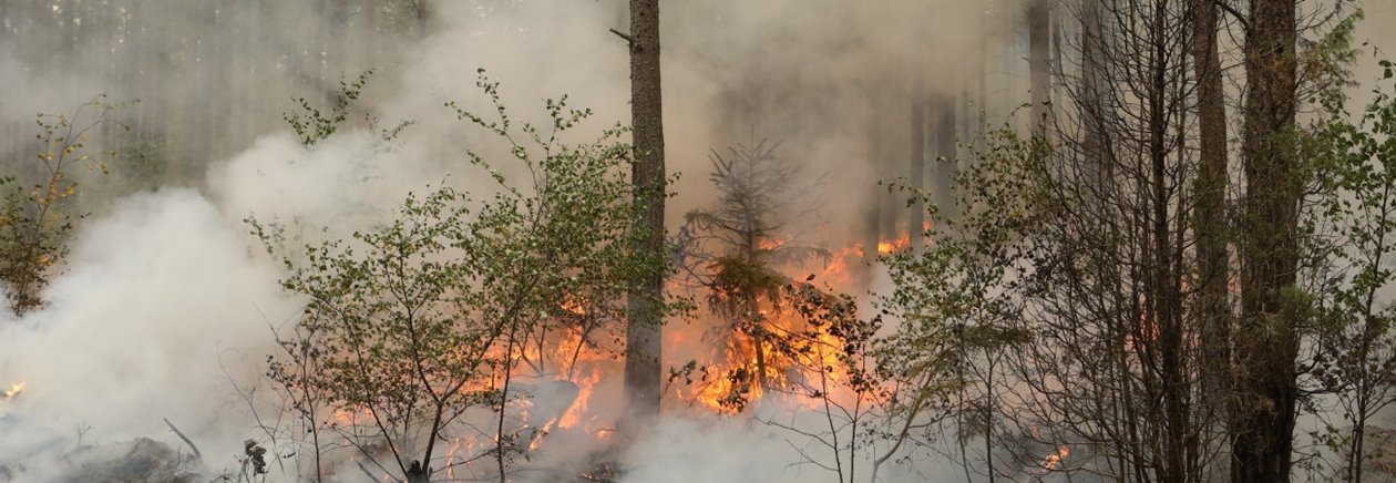 Eld och tät rök vid naturvårdsbränning i Klenemåla