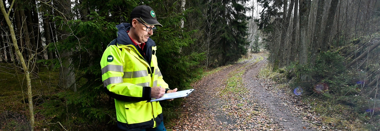 Invetnering av skogsbilväg.