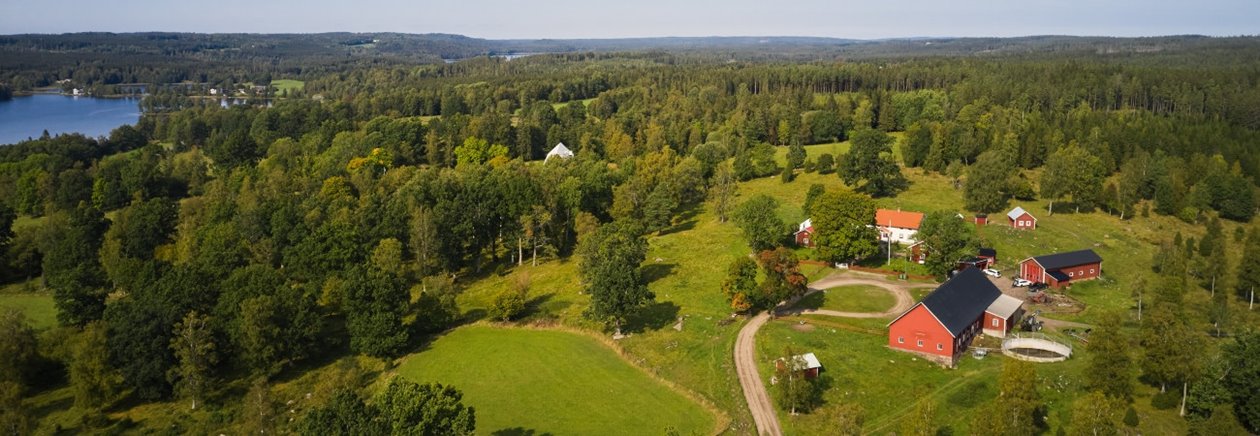 Skogsinspektor medlem 2020.