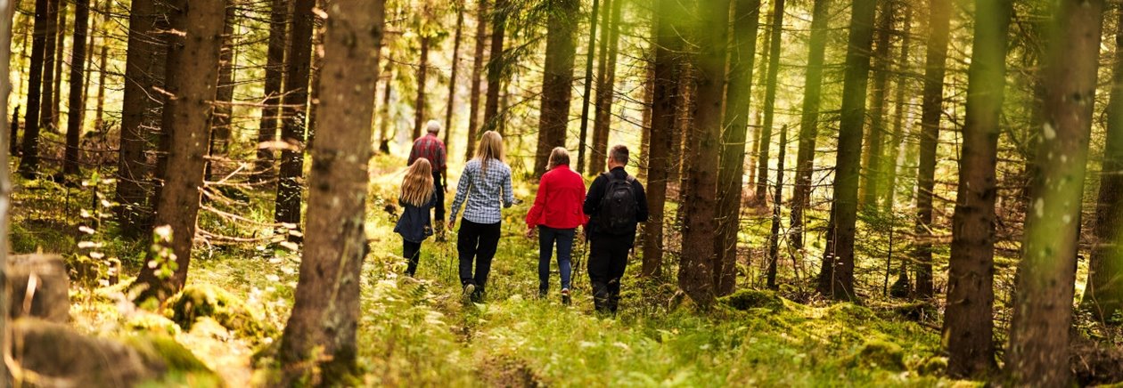 Skogsinspektor medlem 2020.
Från vänster Ava Houlihan-Burne (statist), skogsinspektor Åsa Andersson, Katarina Carlsson, Joakim Carlsson, längst fram Ingemar Levinsson.