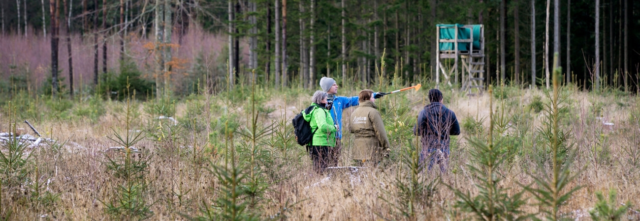 Södraskolan . Grundkurs för skogsägare i skogen utanför Vara. Kursledaren Lars Nilsson i Orangejacka