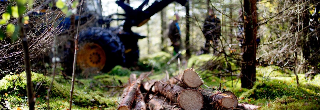 Södra Skogsdag i Sännås, hos Mats och Agneta Helge, mellan Smålandsstenar och Gislaved.