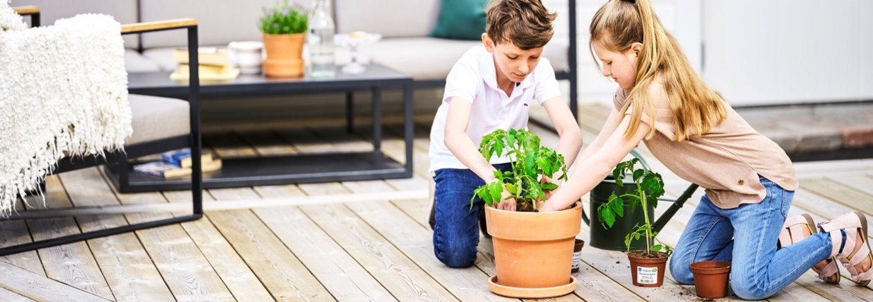 Barn planterar tomatplanta i kruka på trallgolv altan i bakgrunden vitmålad ytterpanel CMP

Children planting a tomato plant in a pot on a wooden deck with white, pre-painted cladding in the background CMP