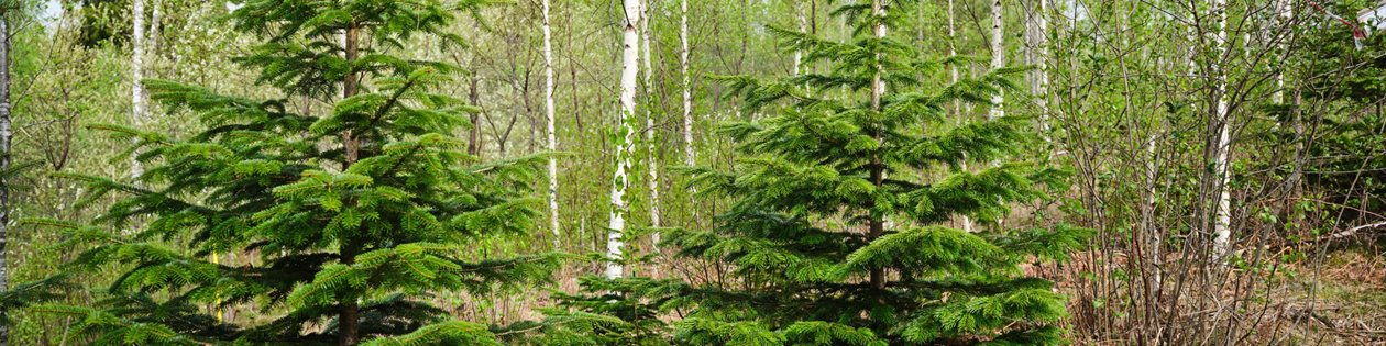 Foto på Mats Helge och Agneta Helge, samt deras fastighet i Sännås Höjden Smålandsstenar