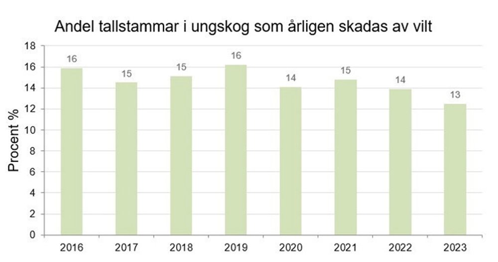 Äbin diagram resultat 2023