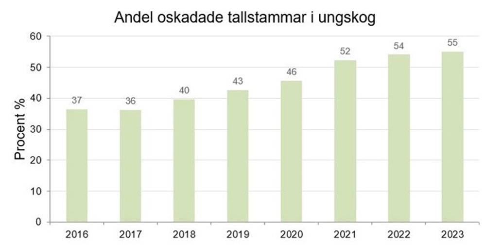 Äbin diagram resultat 2023