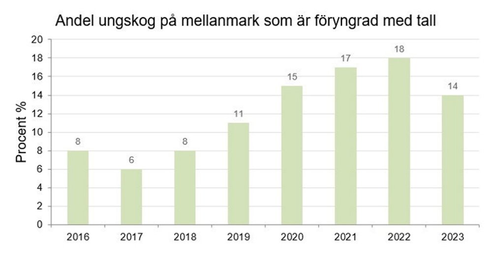 Äbin diagram resultat 2023