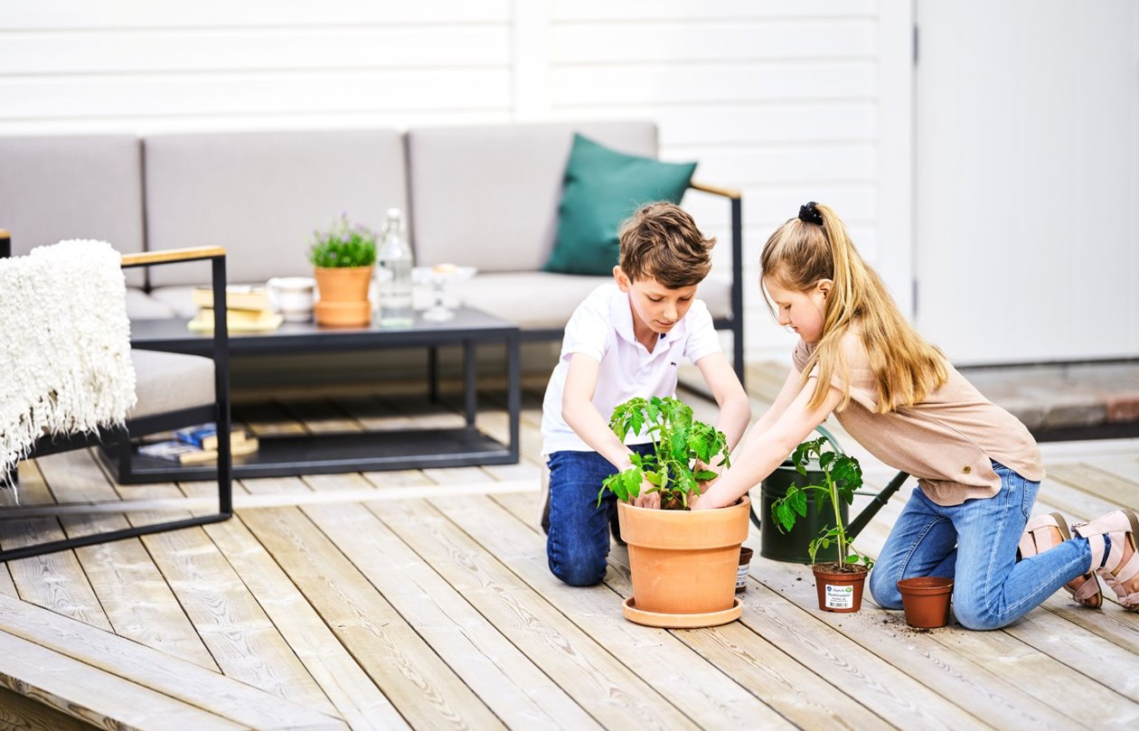 Barn planterar tomatplanta i kruka på trallgolv altan i bakgrunden vitmålad ytterpanel CMP

Children planting a tomato plant in a pot on a wooden deck with white, pre-painted cladding in the background CMP