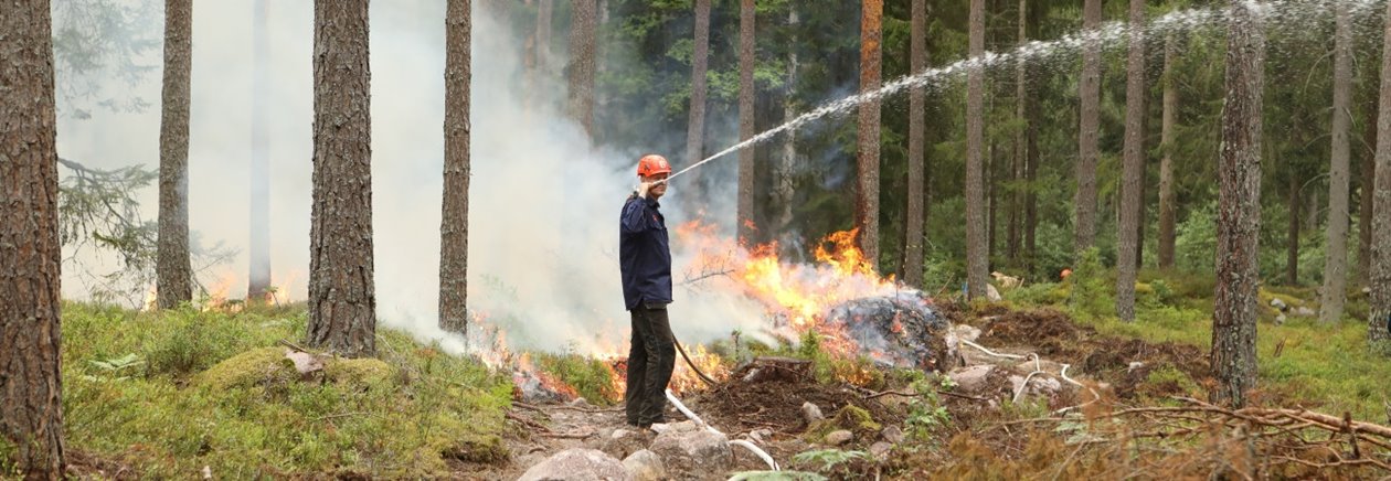 Vattenbegjutning av skog vid avgrönsing mot naturvårdsbränning i Klenemåla