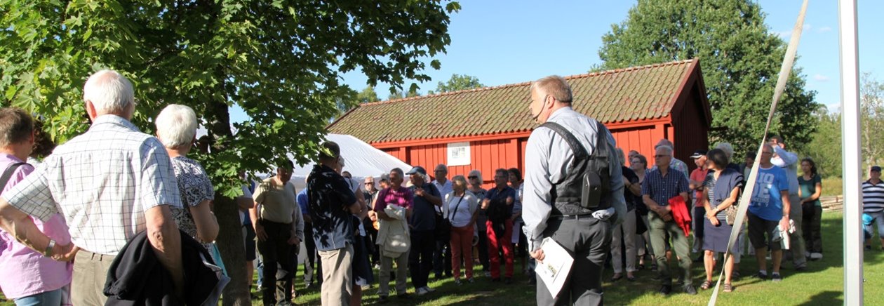 Skogskväll i juli med klimatet i fokus.