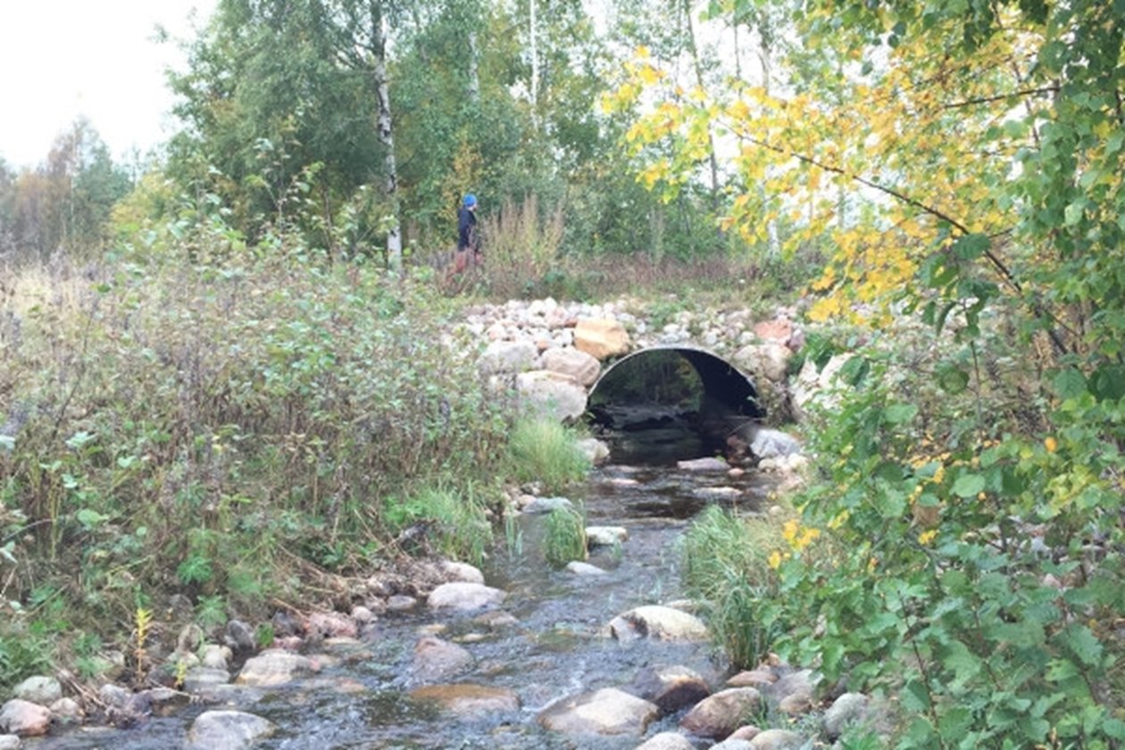 Hänsyn till vatten. Valvbåge över bäck.