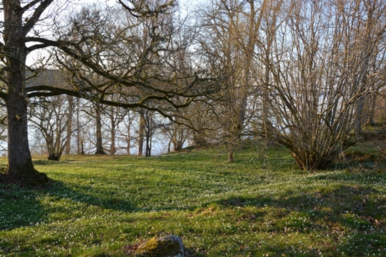 Mark med höga naturvärden. Hagmark.