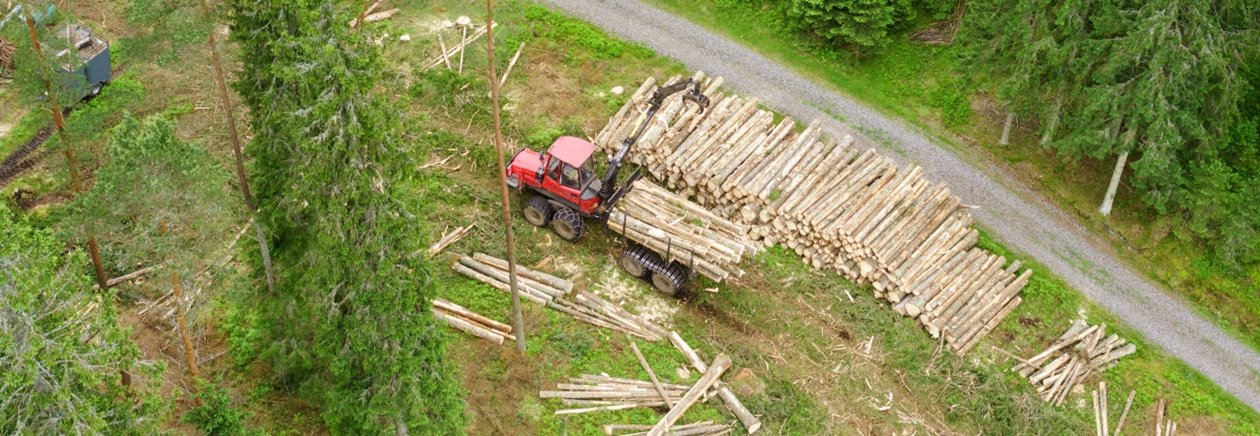 Skog vid Ätran.  Entreprenören är CG tel 0706-288405 i Oskarströms VO.