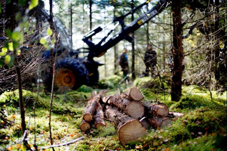 Södra Skogsdag i Sännås, hos Mats och Agneta Helge, mellan Smålandsstenar och Gislaved.