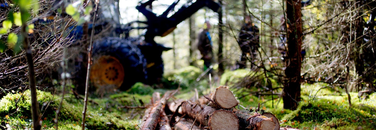 Södra Skogsdag i Sännås, hos Mats och Agneta Helge, mellan Smålandsstenar och Gislaved.