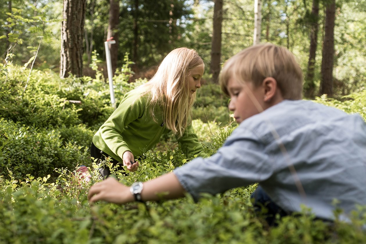 Människor i skogen