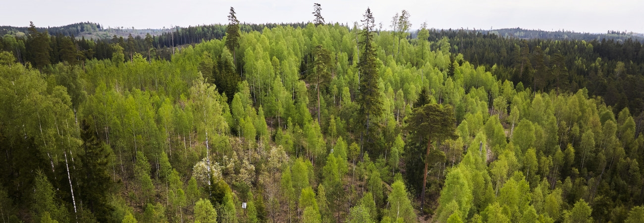 Foto på Mats Helge och Agneta Helge, samt deras fastighet i Sännås Höjden Smålandsstenar