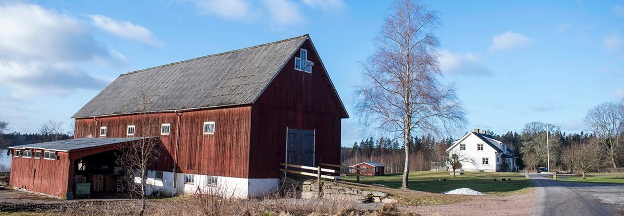 Medlemsreportage Kristofer Andersson