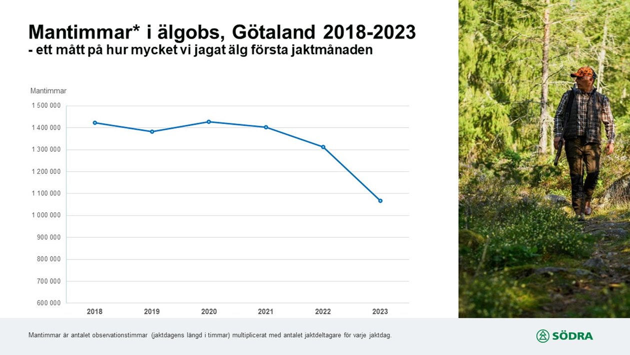 Älgobservation 2024