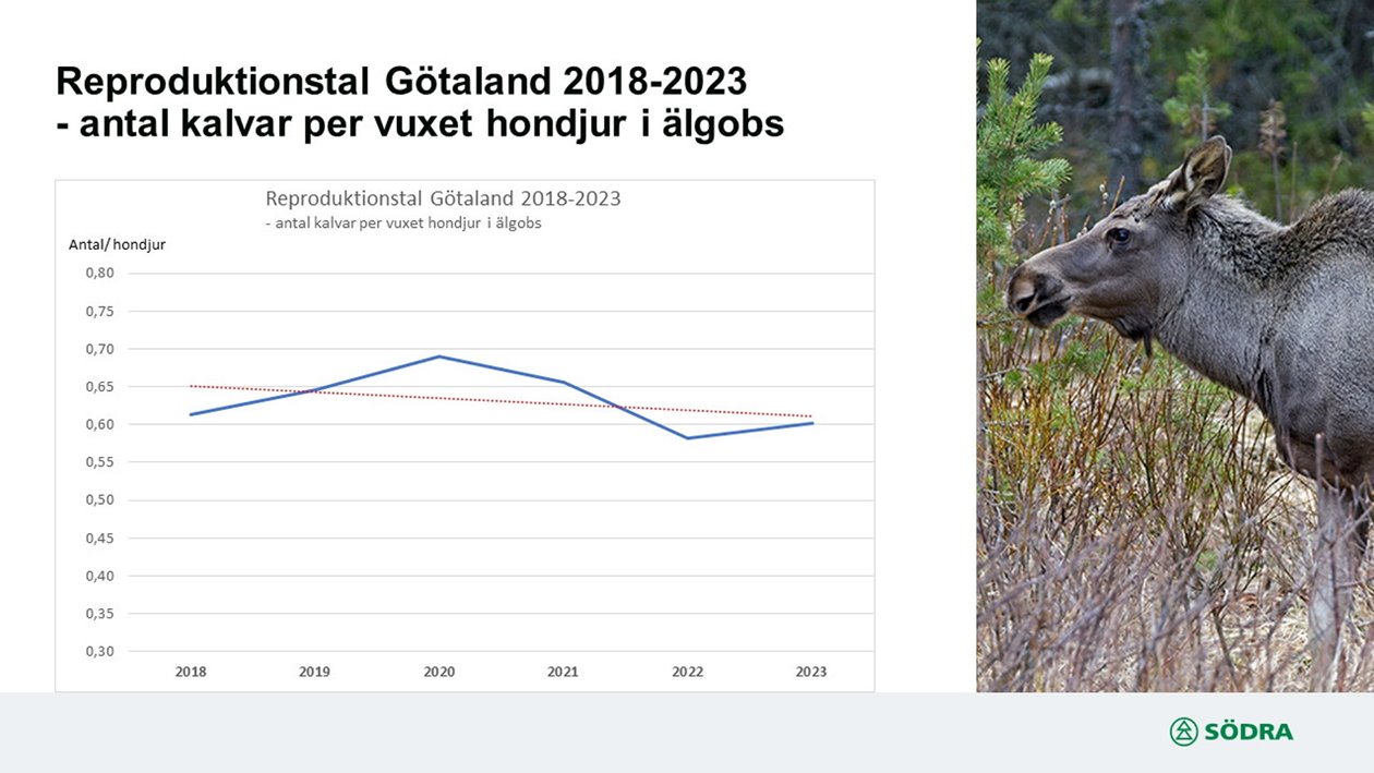 Reproduktionstal Götaland 2018-2023- antal kalvar per vuxet hondjur i älgobs