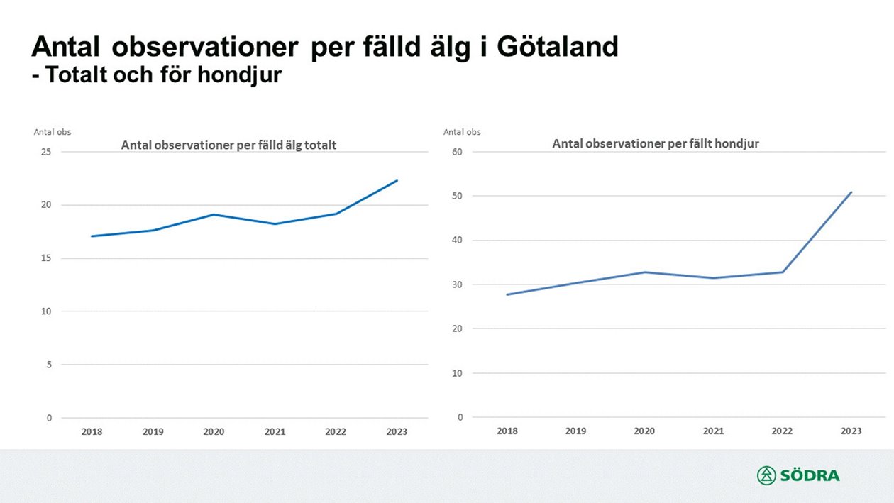 Älgobservation 2024