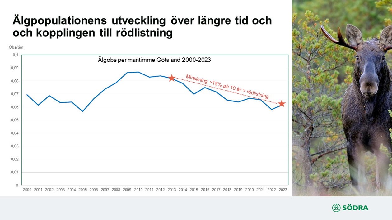 Älgobservation 2024