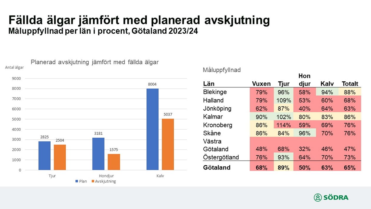 Älgobs 2024