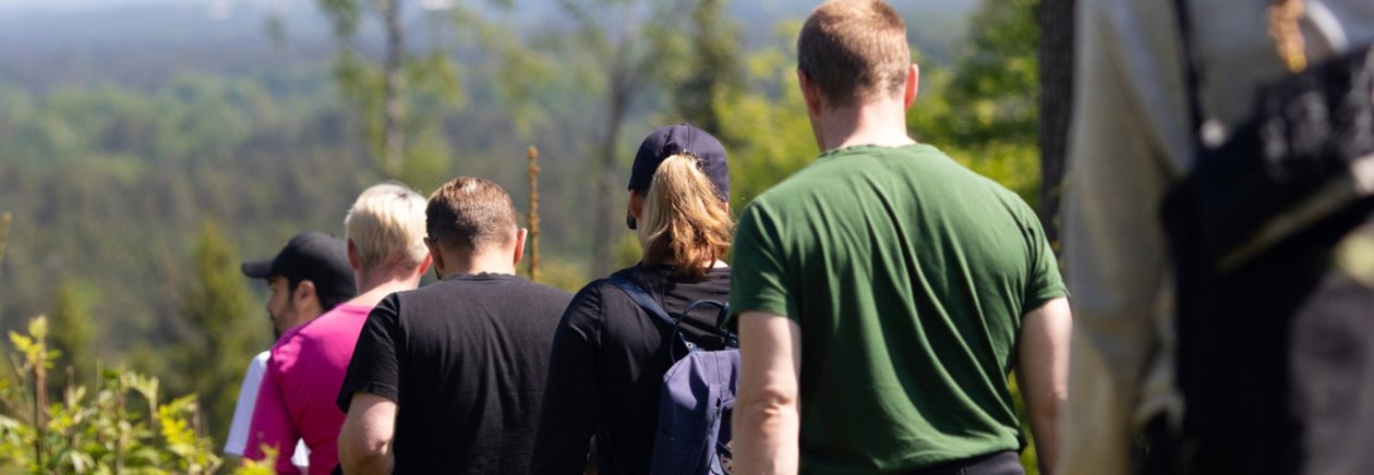 Skogsägare i blandad sommarskog.