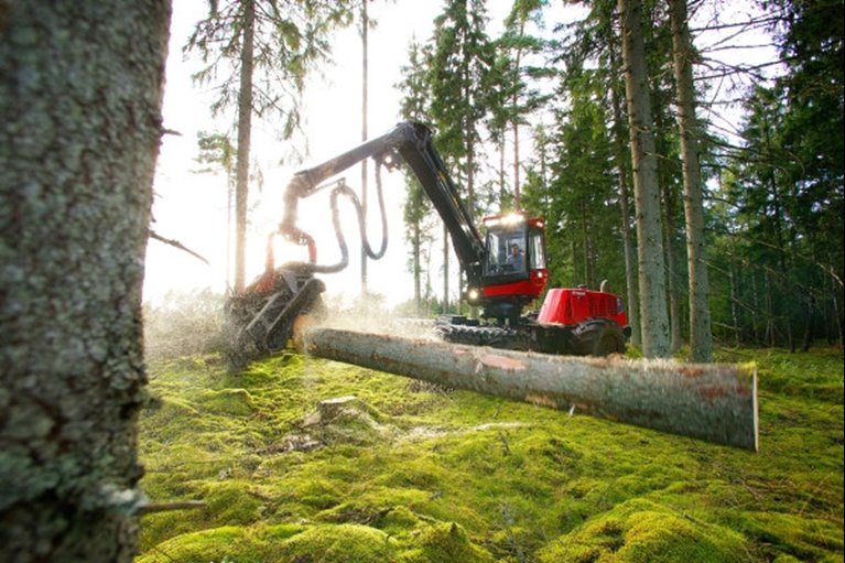 Slutavverkning utanför Vittsjö i Skåne. 