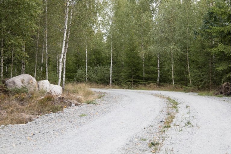 Skogsbilväg hos Södramedlemmen Tommy Flemmingsson, Långasjö verksamhetsområde.