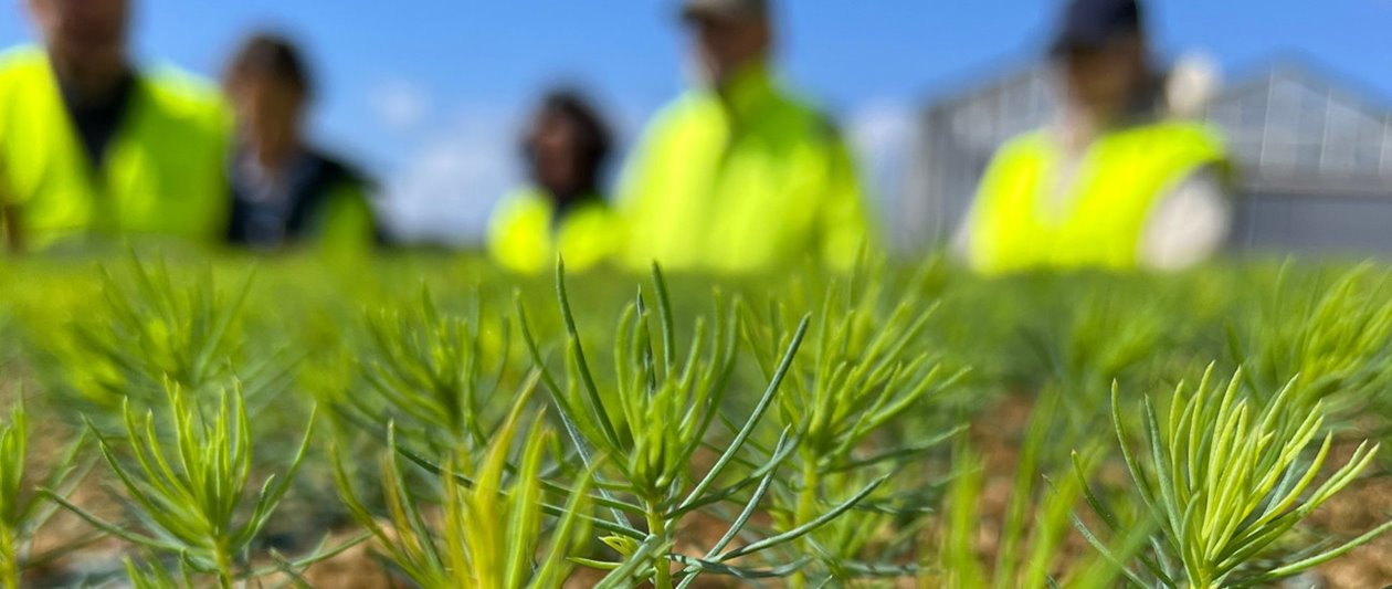 Fibre Education 4-5 juni 2024 i Varberg. Besök på plantskolan i Falkenberg