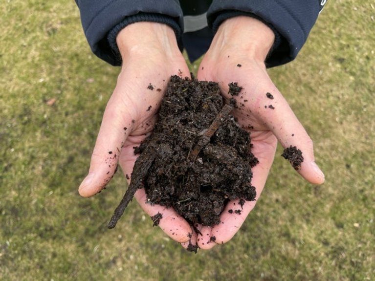 Bark mulch