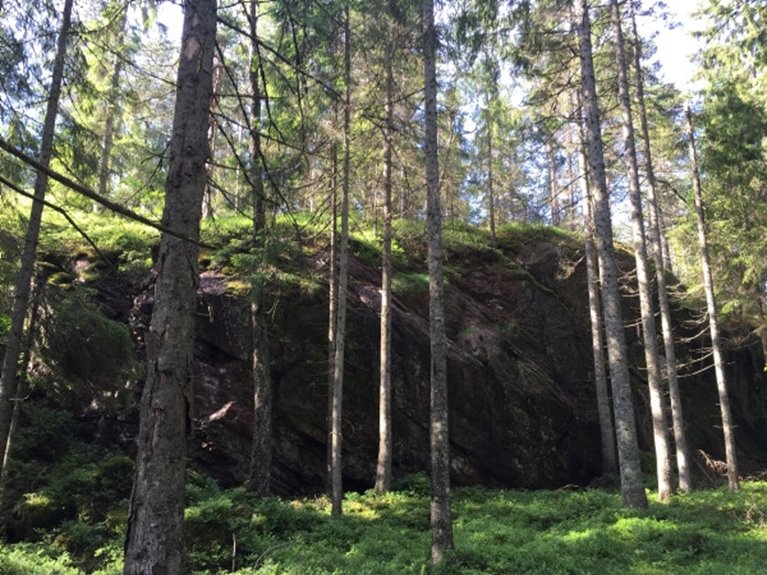 Hänsynskrävande biotop. Lodyta.
En nordöstvänd lodyta utan funktionell skyddszon där skogen närmast består av homogen granplantering. Vid föryngringsavvverkning sparas de träd som bedöms vara stabila, samt eventuell underväxt. En funktionell skyddszon får byggas upp vid kommande åtgärder.