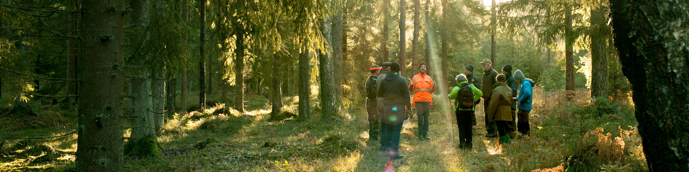 Södraskolan . Grundkurs för skogsägare i skogen utanför Vara. Kursledaren Lars Nilsson i Orangejacka