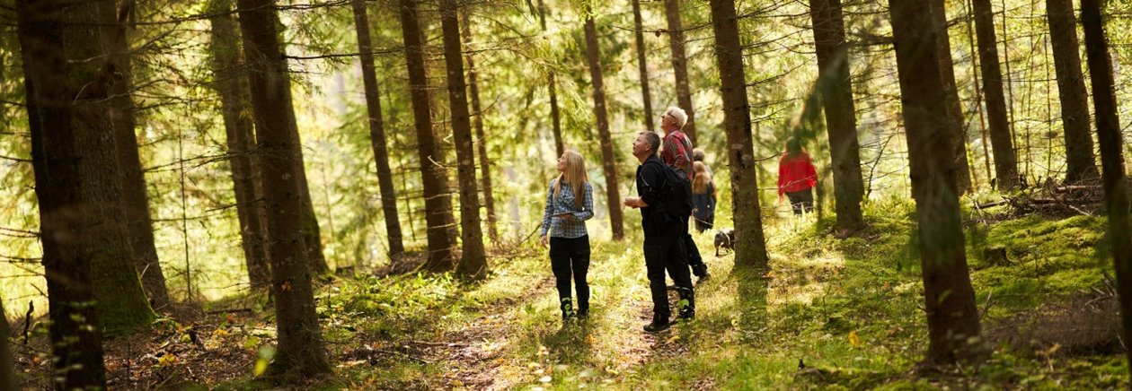 Skogsinspektor medlem 2020. Från vänster skogsinspektor Åsa Andersson, Joakim Carlsson, Ingemar Levinsson.