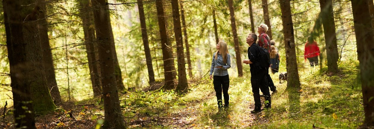 Skogsinspektor medlem 2020. Från vänster skogsinspektor Åsa Andersson, Joakim Carlsson, Ingemar Levinsson.