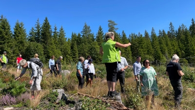 Viltdemohägnens dag för politiker och myndighetspersoner, Jönköping augusti 2022. Deltagarna besöker viltdemohägn.