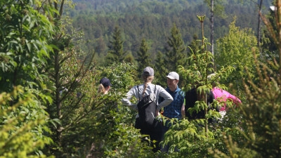 Skogsägare i blandad sommarskog.